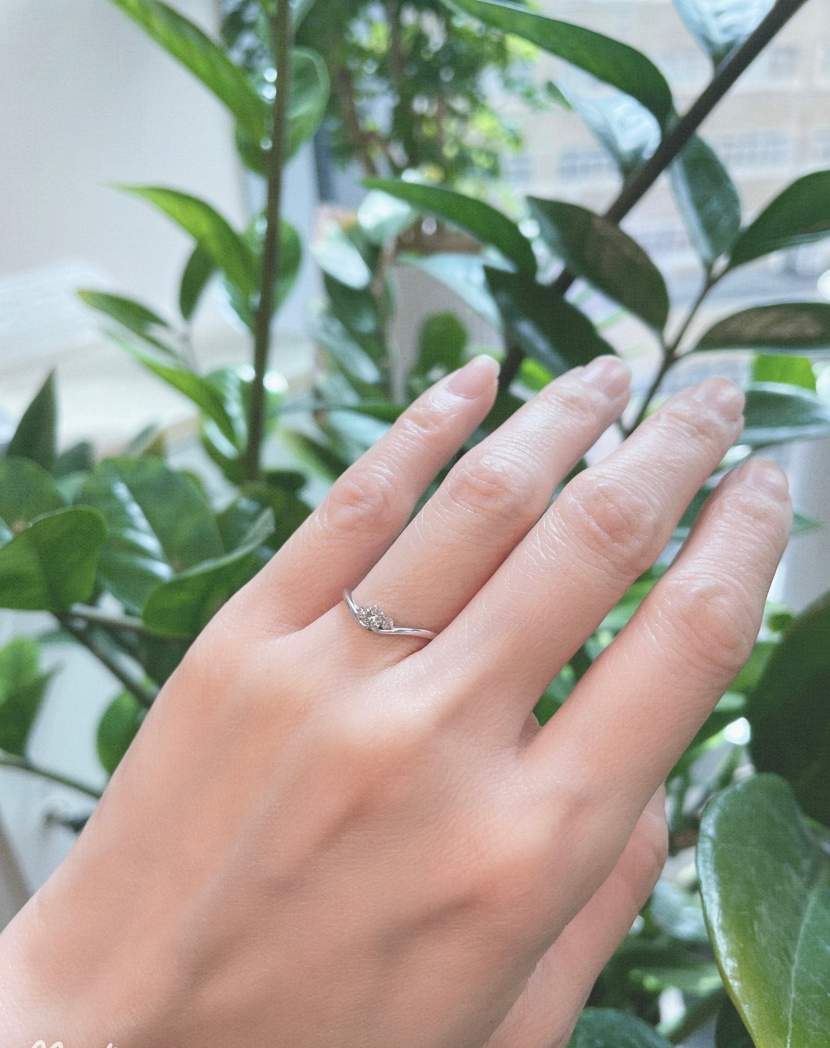 6 Claw Diamond with 2 Diamond Ring 0.1ct - JMW Jewelry Wholesale