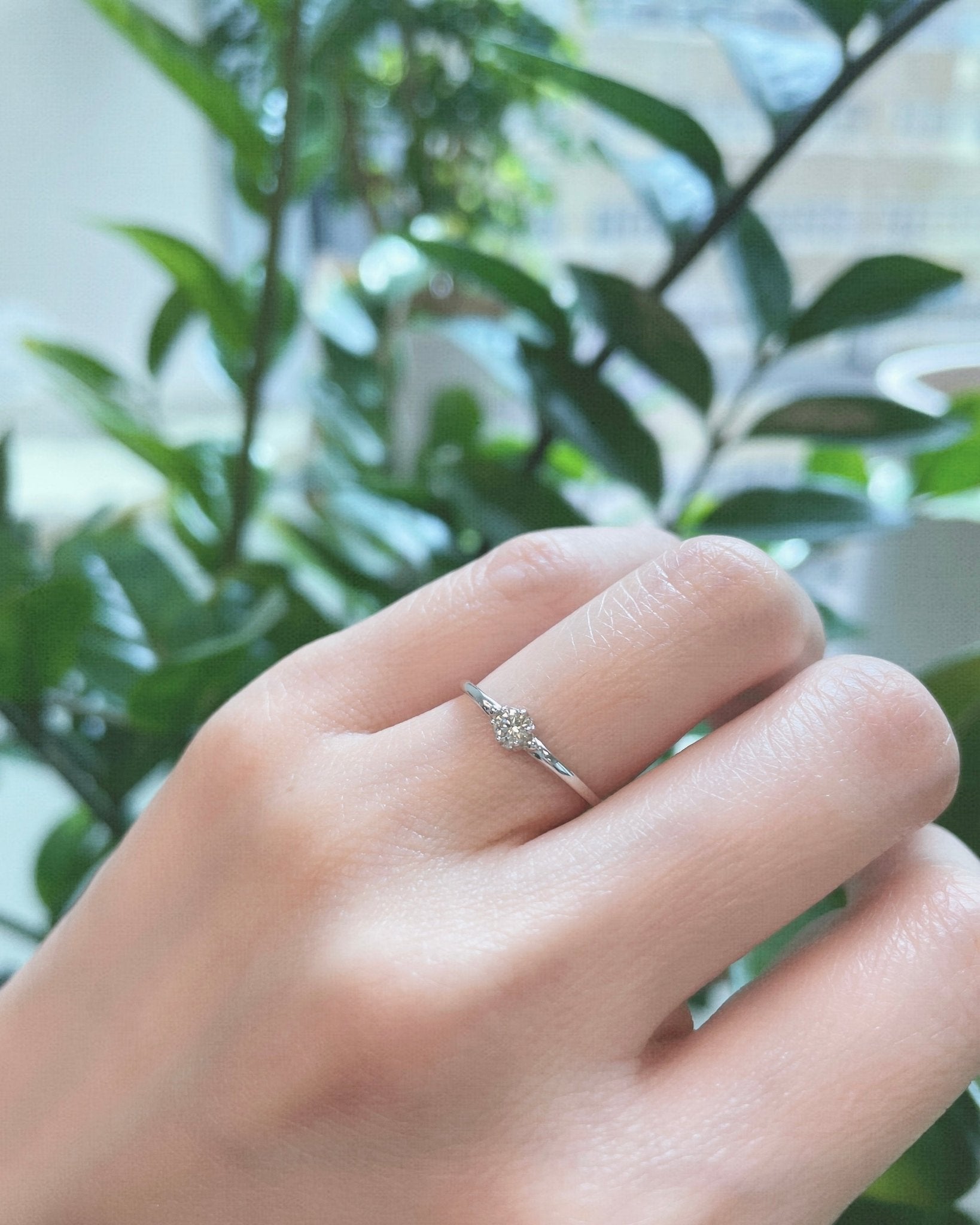 6 Claw Single Diamond Ring 0.1ct - JMW Jewelry Wholesale