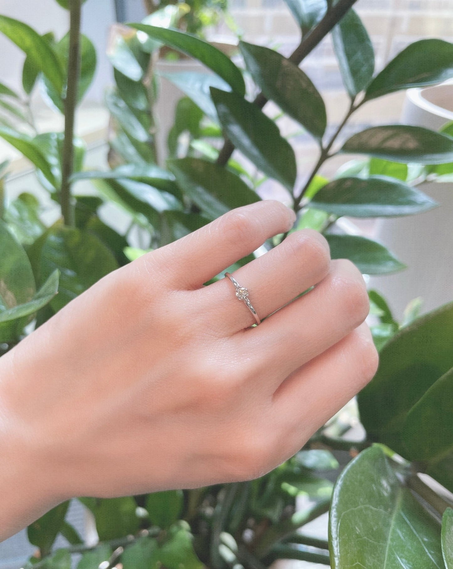 6 Claw Single Diamond Ring 0.1ct - JMW Jewelry Wholesale