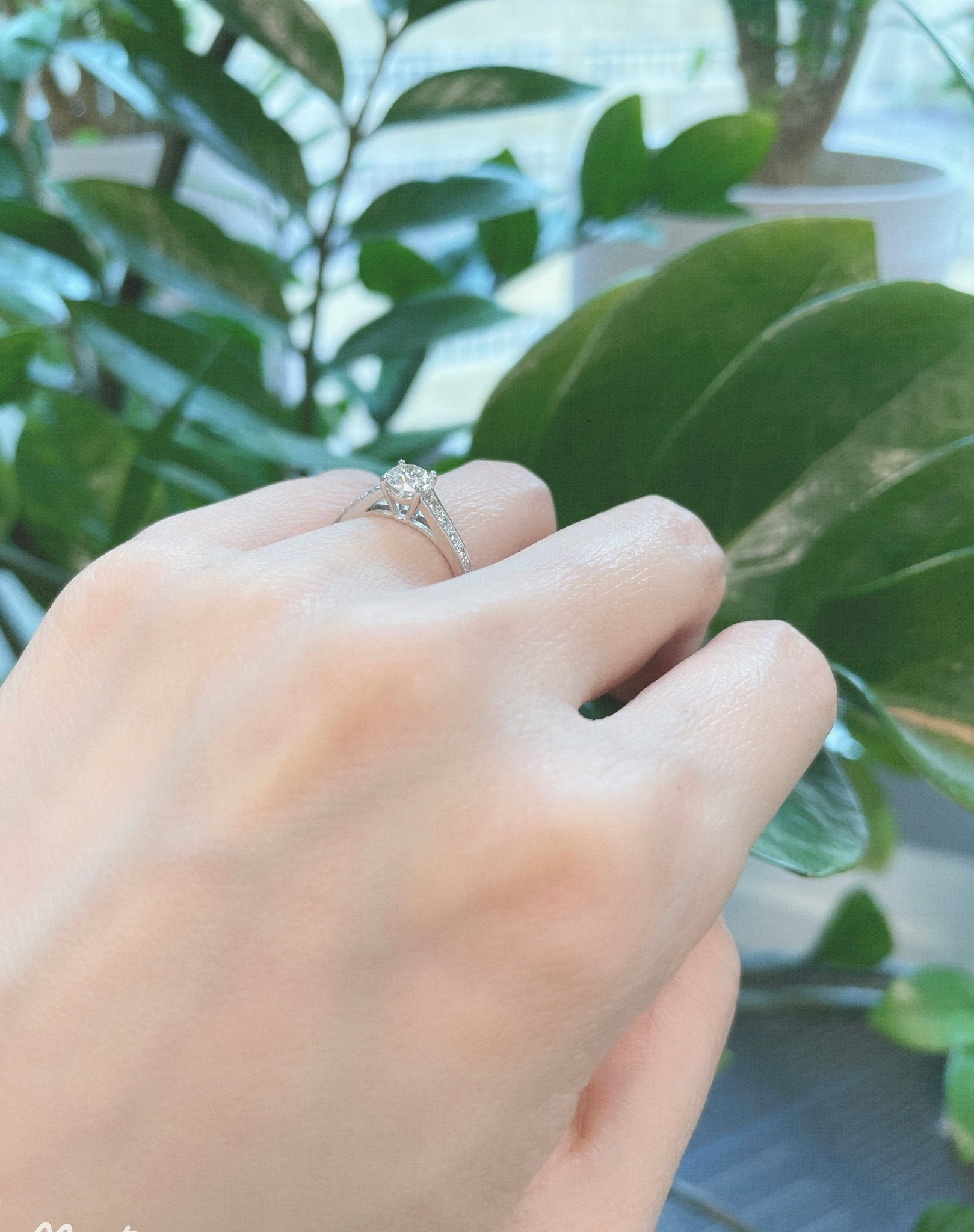 Four prong pave ring 0.5/0.16ct - JMW Jewelry Wholesale