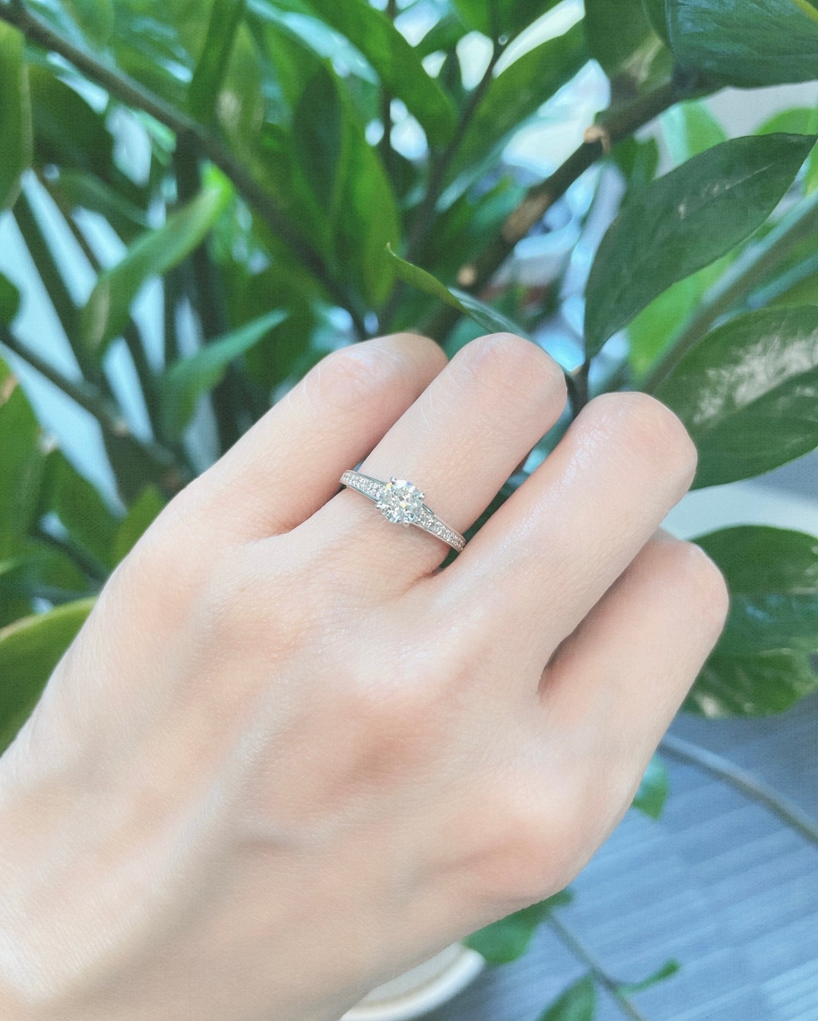 Four prong pave ring 0.5/0.16ct - JMW Jewelry Wholesale