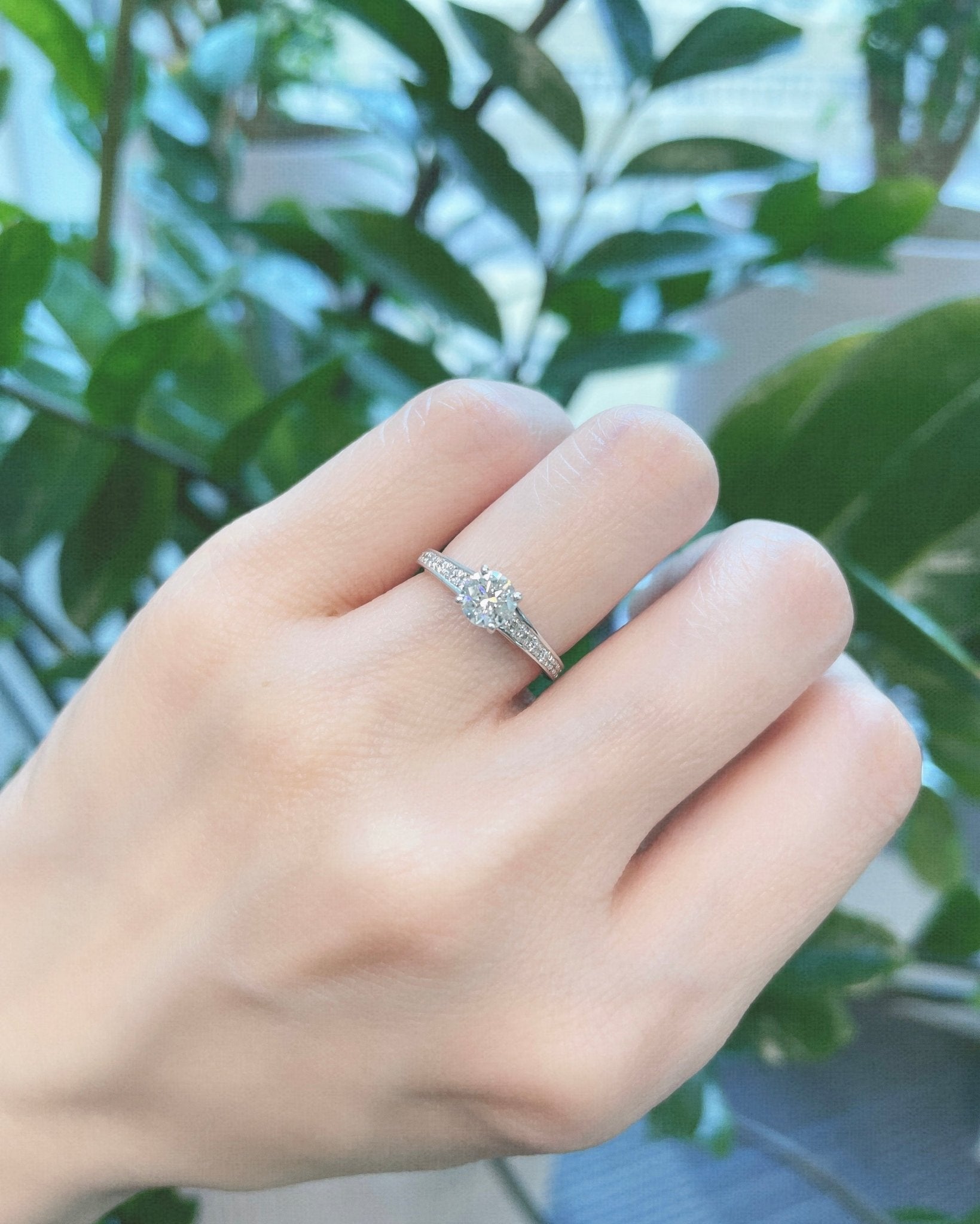 Four prong pave ring 0.5/0.16ct - JMW Jewelry Wholesale