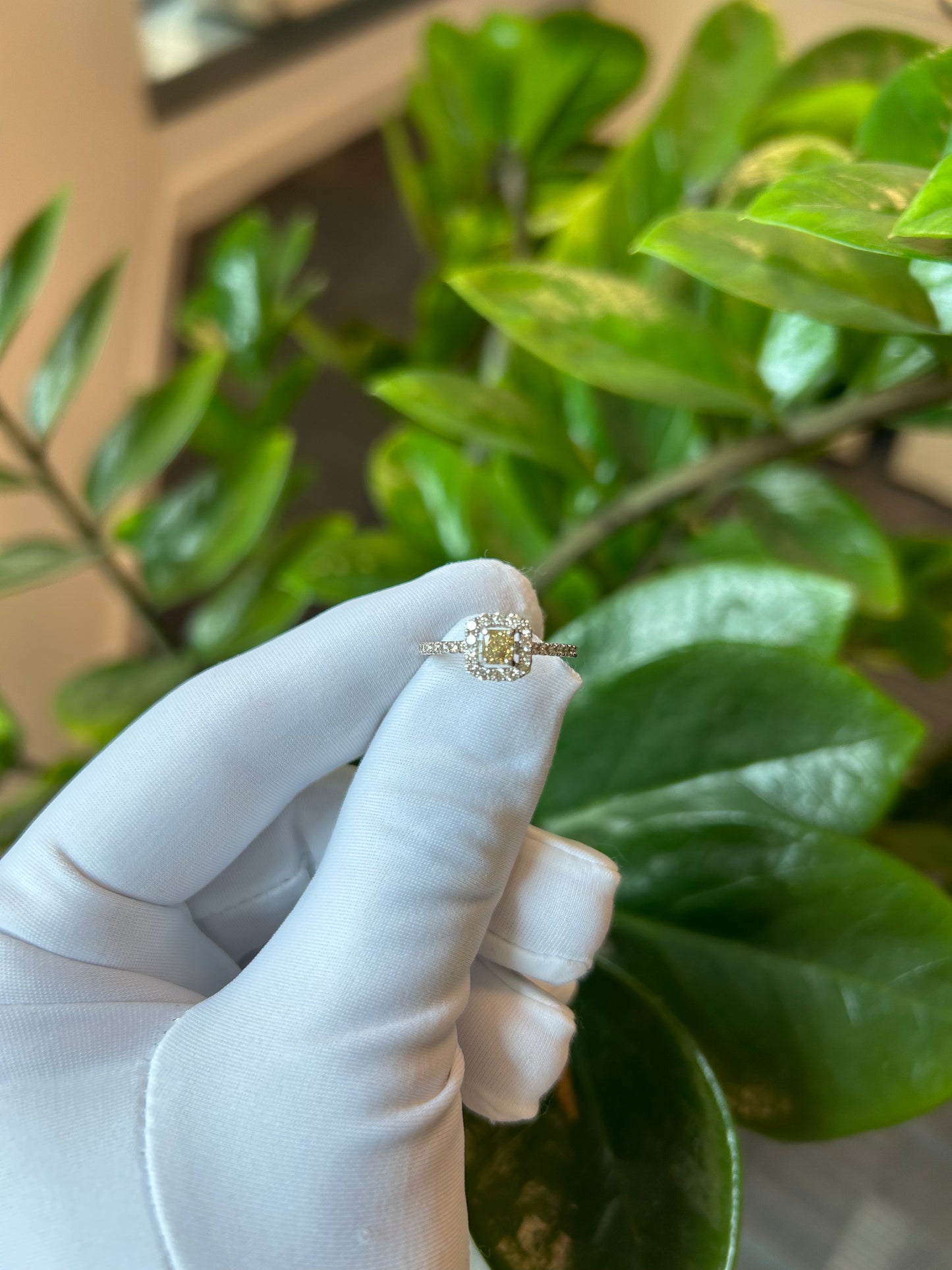 Four claw Yellow Dia Square Pave ring 0.3/0.45ct